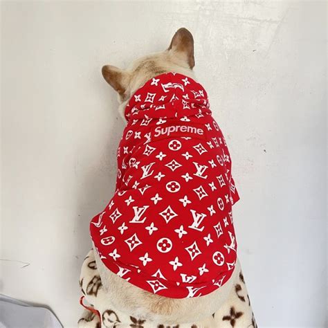 louis vuitton sweater for dogs